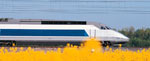 promo train