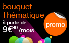 le bouquet Th&eacute;matique en promo