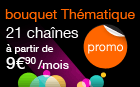 le bouquet Th&eacute;matique 21 cha&icirc;nes en promo